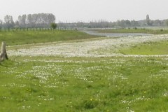 wp-1620109501210