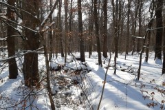 wp-1613313873139