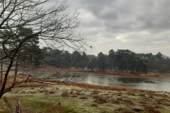 wp-1610354071884