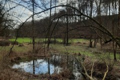 wp-1611479409210