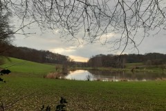 wp-1611479789475