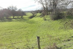 wp-1611152002310