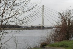 wp-1611152150431