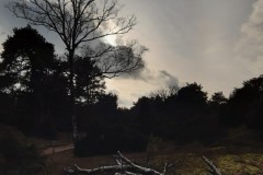 wp-1611381582740