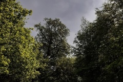 wp-1621166961960