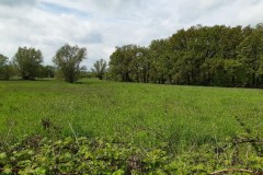 wp-1621167065451