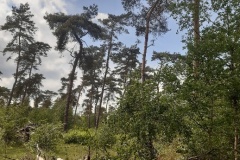 wp-1621842124550