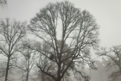 wp-1610210130235